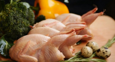 Jak a v jakém věku porážet křepelky, automatizace procesů